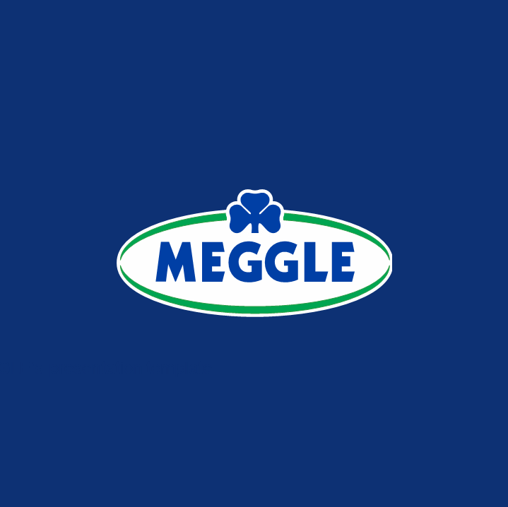 MEGGLE GmbH & Co. KG