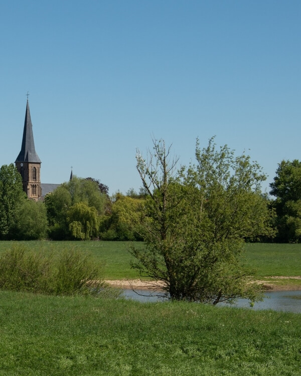 Naturschutzgebiet Lippeaue in Hamm, StudySmarter