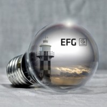 EFG-GRUPPE