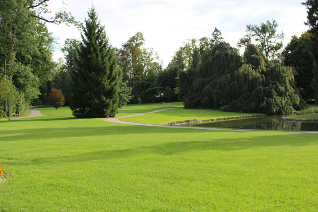 Ausbildung Angelbachtal