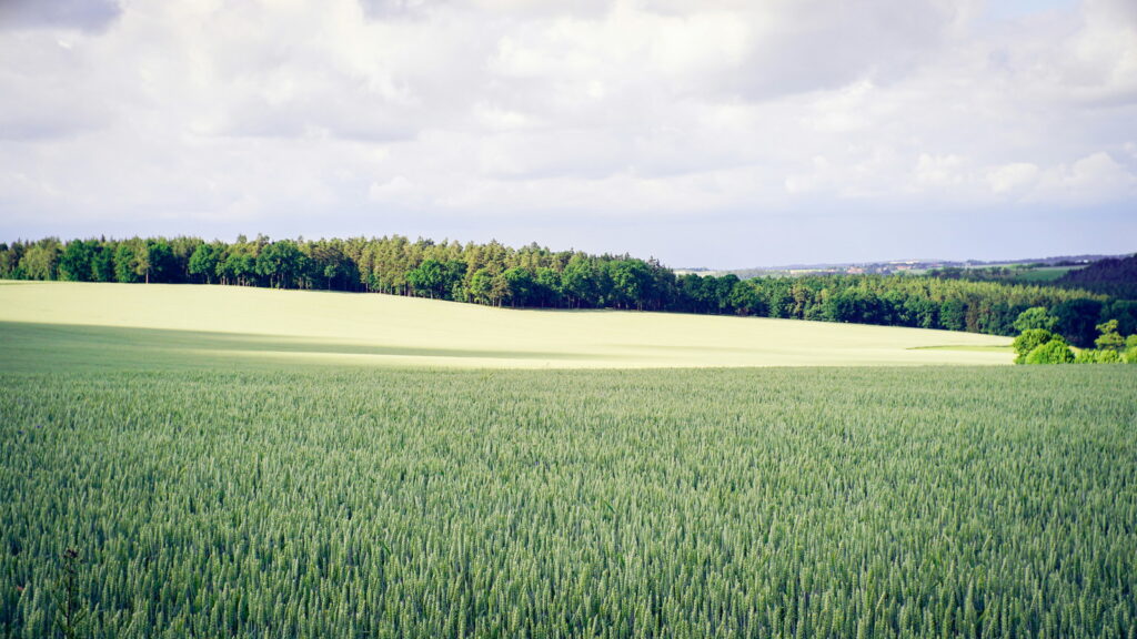 Ausbildung Albersdorf Thüringen