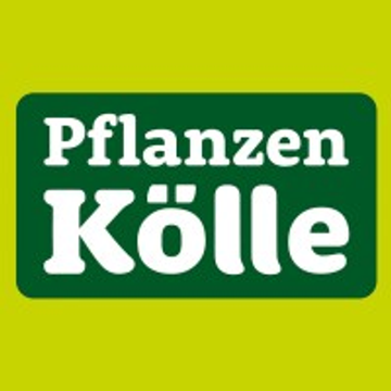 Pflanzen-Kölle Gartencenter GmbH & Co KG