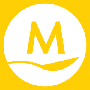 company-logo