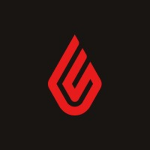 company-logo