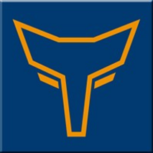 company-logo