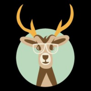 company-logo