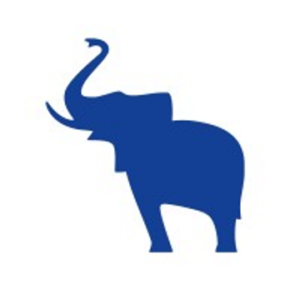 company-logo