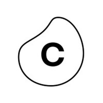 Celonis SE