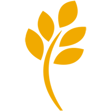 Aryzta