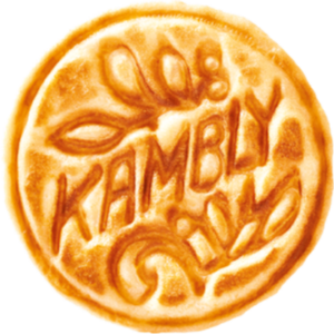 company-logo
