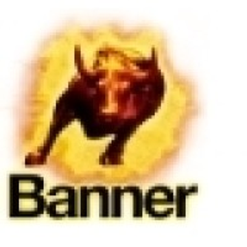 Banner Group