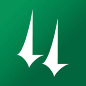 company-logo