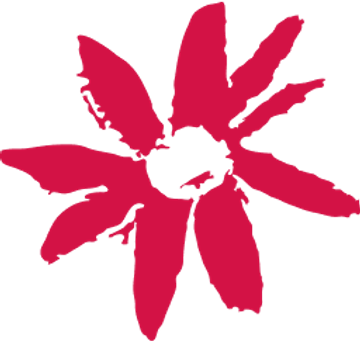 Gidget Foundation Australia
