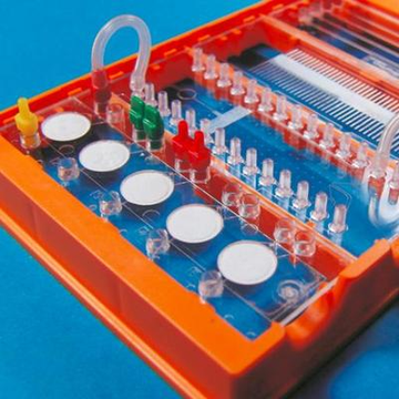 microfluidic ChipShop GmbH