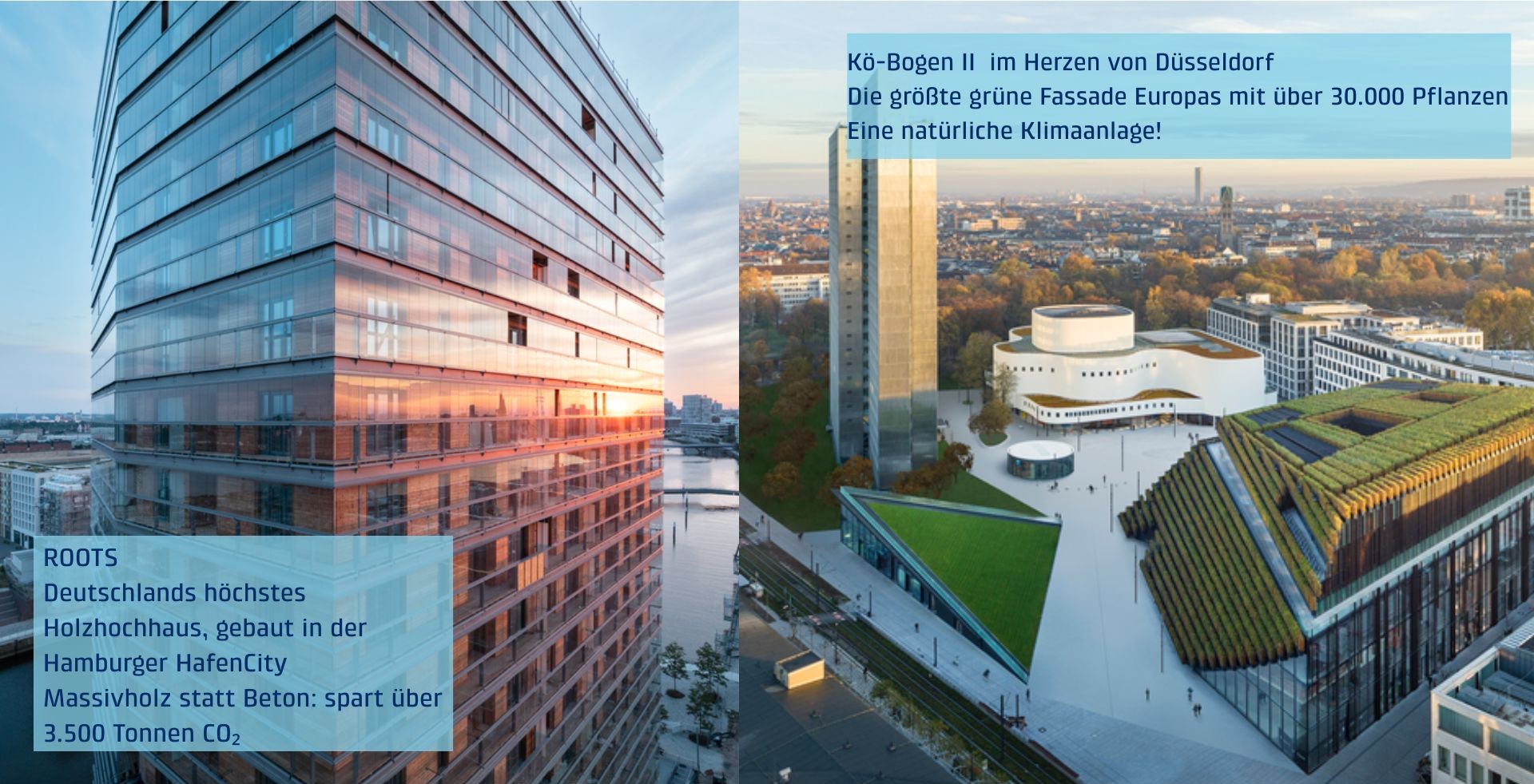 Zwei Bilder nebeneinander: Links das Holzhochhaus ROOTS in der Hamburger HafenCity, rechts der Kö-Bogen II mit Europas größter begrünter Fassade in Düsseldorf – beide mit erklärenden Texten zu nachhaltigem Bauen