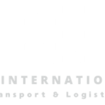 M.G. International (Holding) GmbH