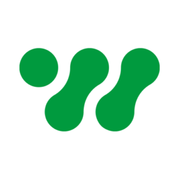 Witzig Alteco Digital Services AG