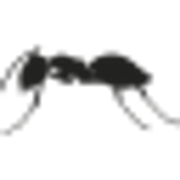 Bekteshi Trockenbau GmbH & Co. KG