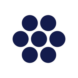 company-logo