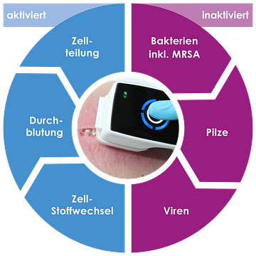 terraplasma medical GmbH