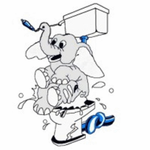 company-logo