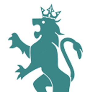 company-logo