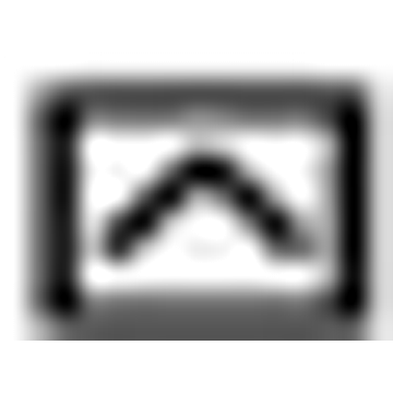 German Animal Welfare Federation