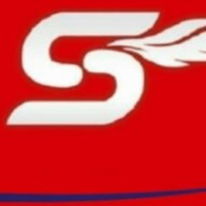 company-logo