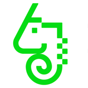 company-logo