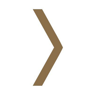 Longevity Partners B.V.