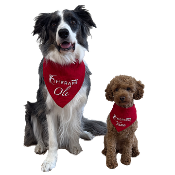 Mediana Therapie GmbH