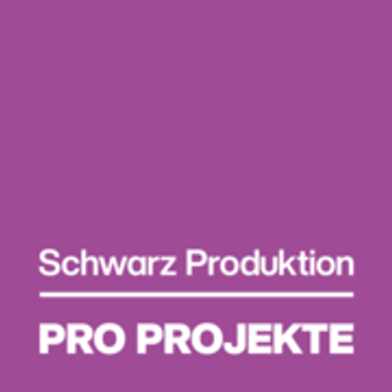 Pro Projekte