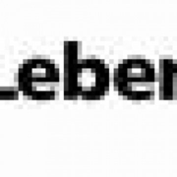 Lebenshilfe Steinburg gGmbH