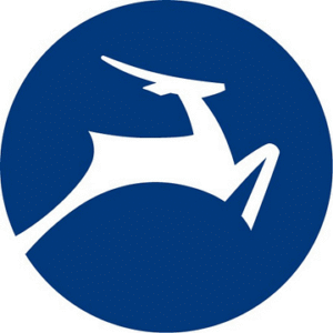 company-logo