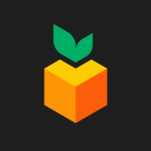 company-logo