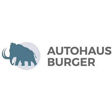 Autohaus Burger GmbH & Co. KG