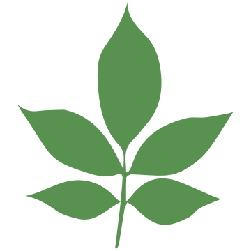 Projekt Gartenbau GmbH