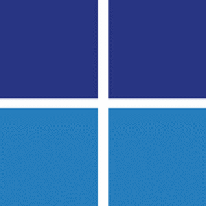 company-logo