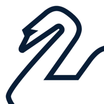 SWAN Consultancy GmbH