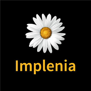 Implenia Holding