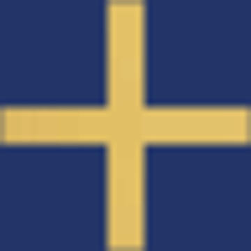 CNS Worldwide Executive Search