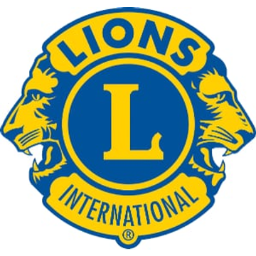 Lions Air Skymedia AG