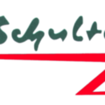 Spedition M. Schulte GmbH &amp; Co. KG