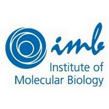IMB