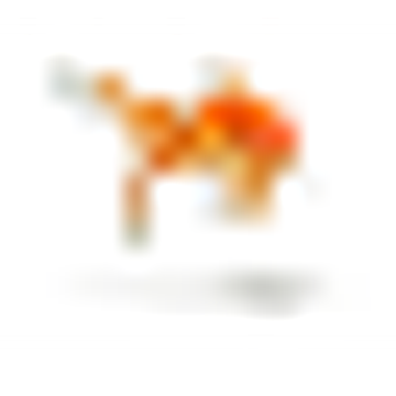 sprintfish communication gmbh & co. kg