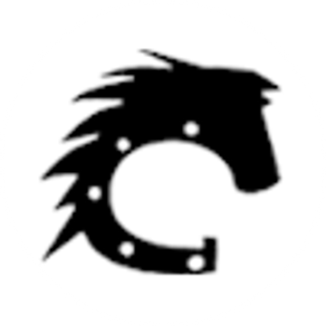 Cours GmbH &amp; Co. KG