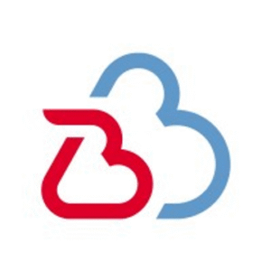company-logo