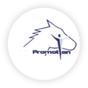 HIPPO Promotion GmbH