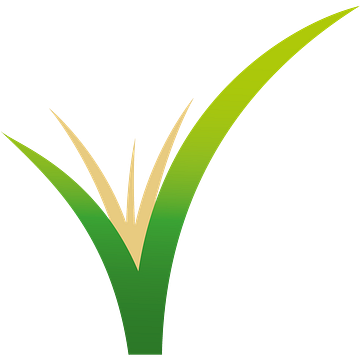 naVitalo