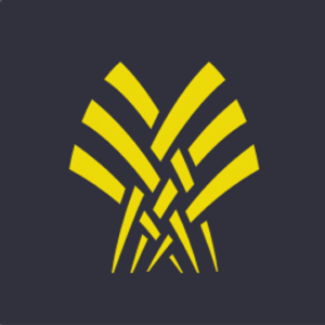 company-logo